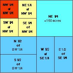 Section/Division Chart